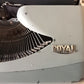 Image of Royal Royalite Typewriter. Available from universaltypewritercompany.in